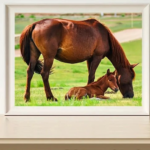 Diamond painting set - Paard met Veulen - 40x50cm